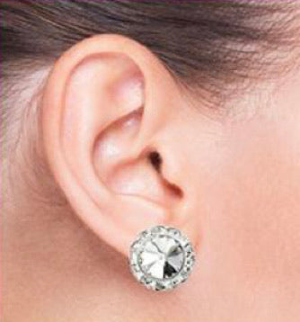 DQI Company Earrings (4684566986814)